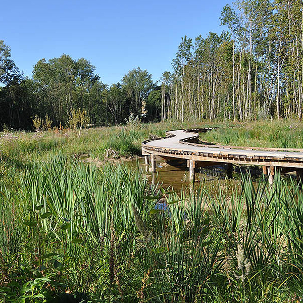 Découverte des habitants de l'île de Douvres