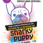 Concert : Autour de la musique de Snarky Puppy