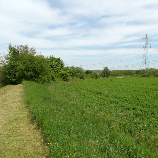 Parc Agricole : Portes ouvertes