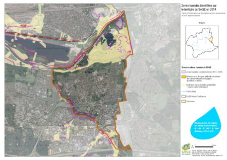 TORCY_Zones_Humides