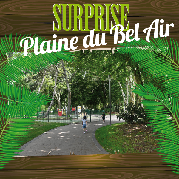 SURPRISE, plaine du Bel Air