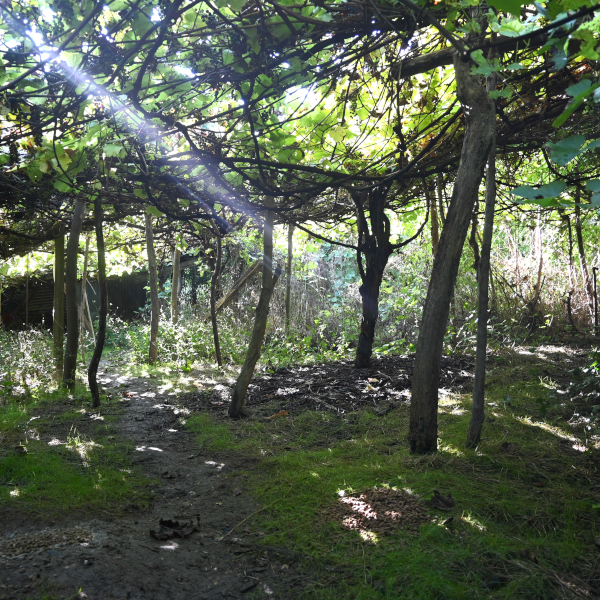 Visite de 6 hectares de verdure préservés