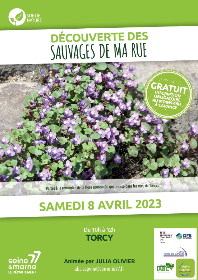 Sortie Nature : Découverte des sauvages de ma rue