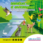 Animation enfant : les bestioles du jardin