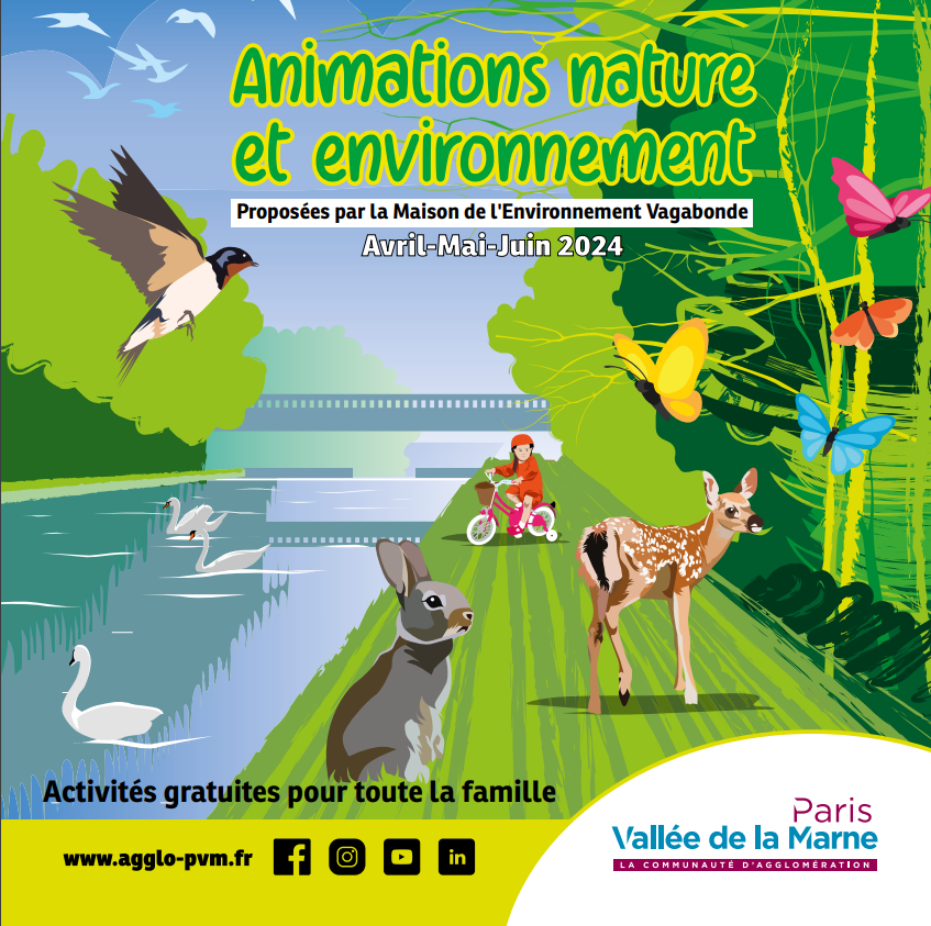 Animation enfant : les bestioles du jardin