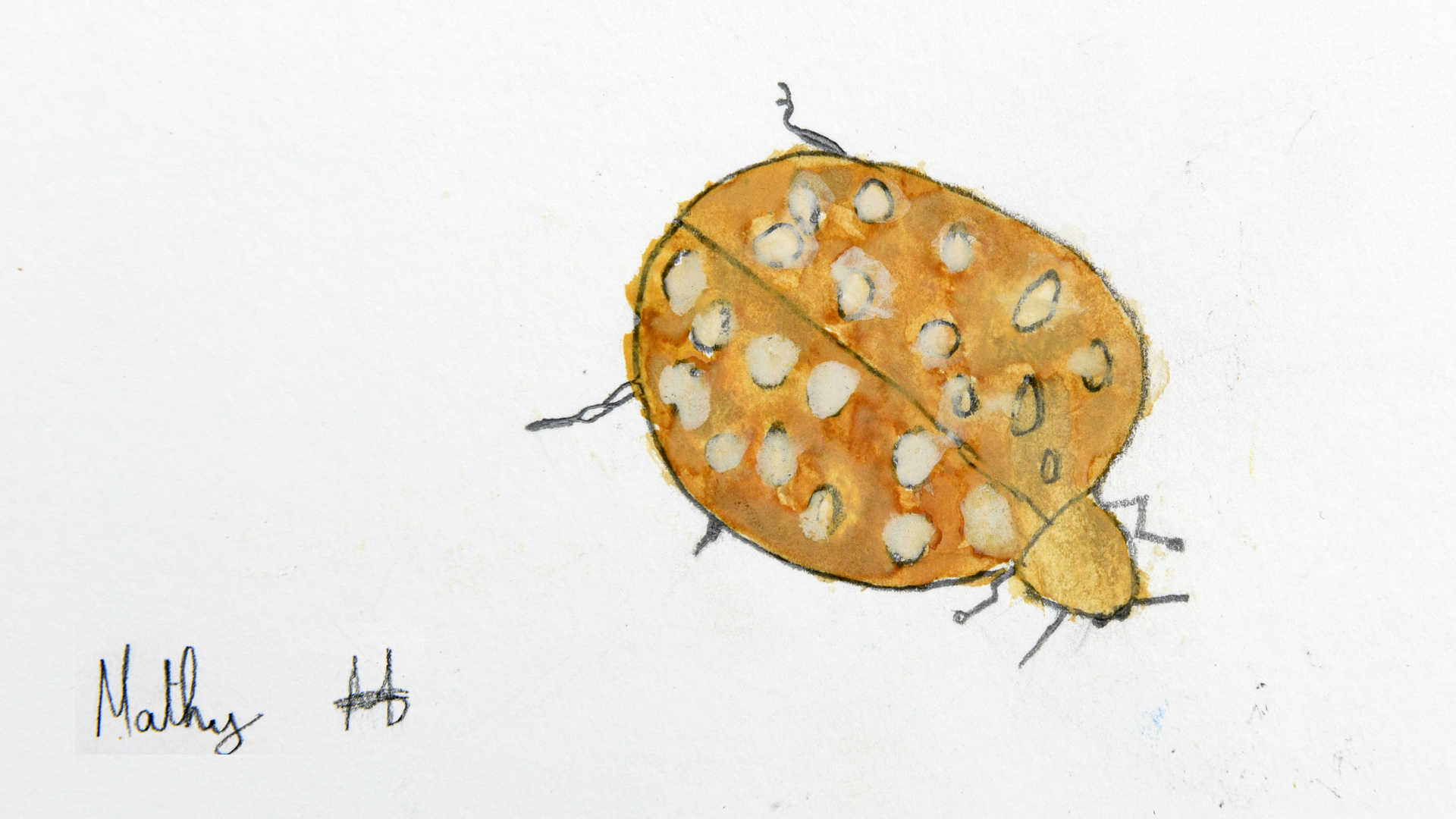 Dessin d'une coccinelle orange
