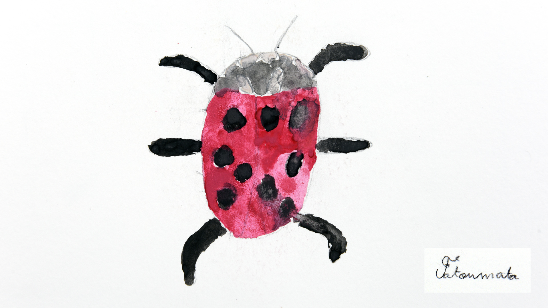 Dessin d'une coccinelle rouge