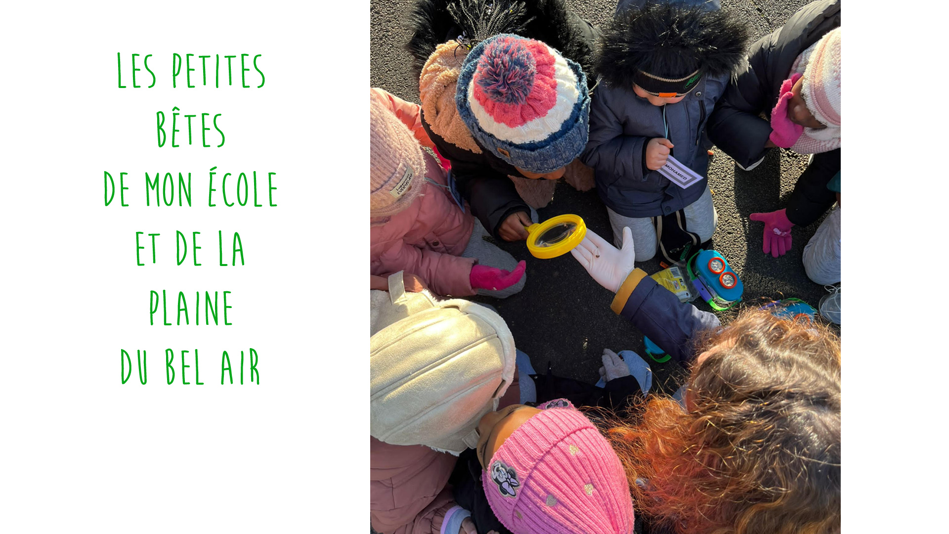 Enfants du Bel Air qui découvrent des insectes