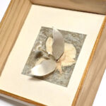 Exposition : Le cabinet des merveilles de Marina Bernardin